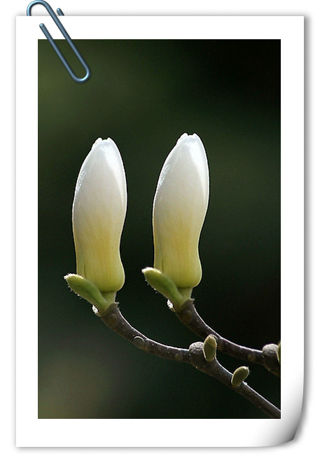 彩运网(中国游)官方网站