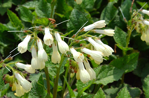 彩运网(中国游)官方网站