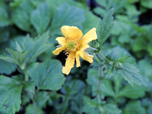 彩运网(中国游)官方网站