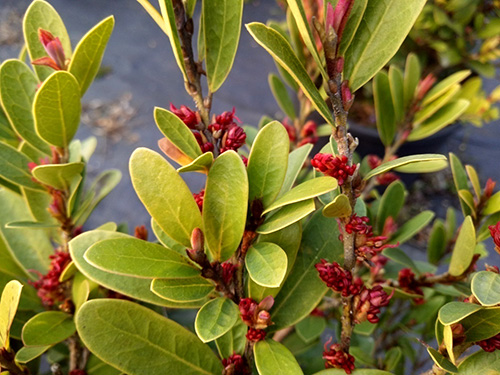 彩运网(中国游)官方网站