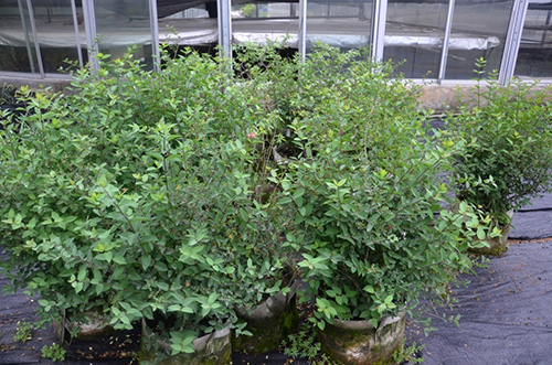 彩运网(中国游)官方网站