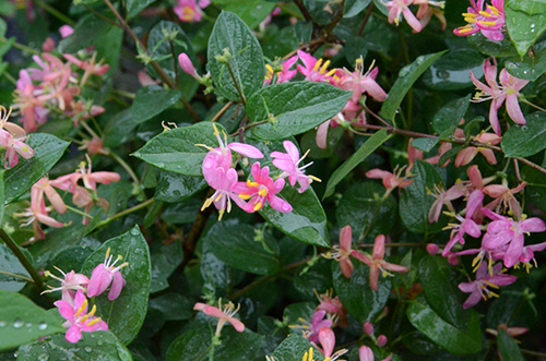 彩运网(中国游)官方网站