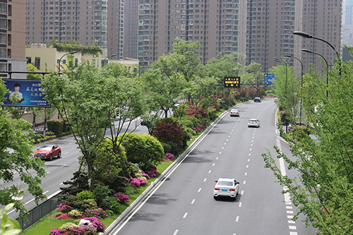 彩运网(中国游)官方网站