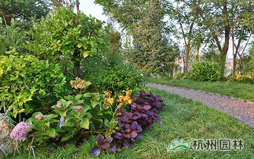 彩运网(中国游)官方网站