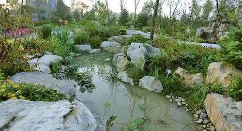 彩运网(中国游)官方网站