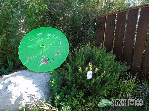 彩运网(中国游)官方网站