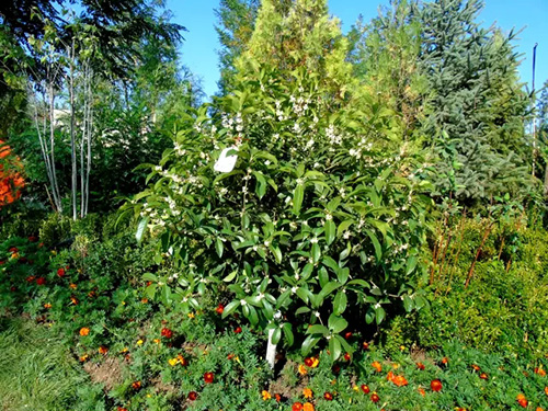 彩运网(中国游)官方网站