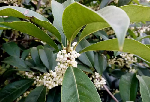 彩运网(中国游)官方网站