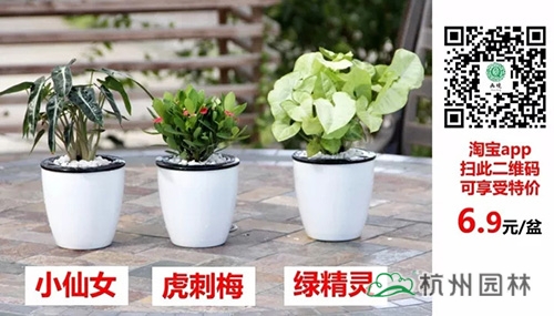 彩运网(中国游)官方网站