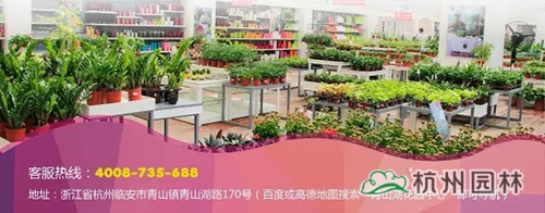 彩运网(中国游)官方网站