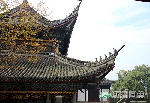 彩运网(中国游)官方网站