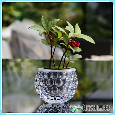 彩运网(中国游)官方网站