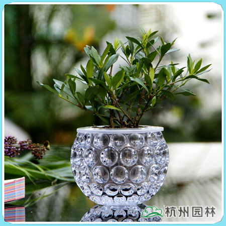 彩运网(中国游)官方网站