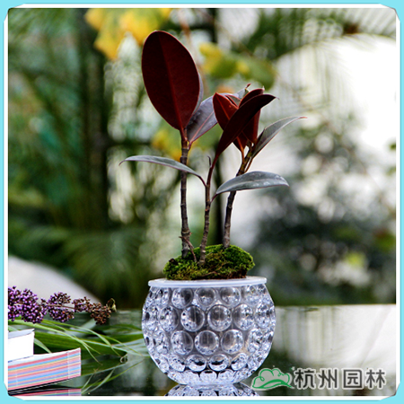 彩运网(中国游)官方网站