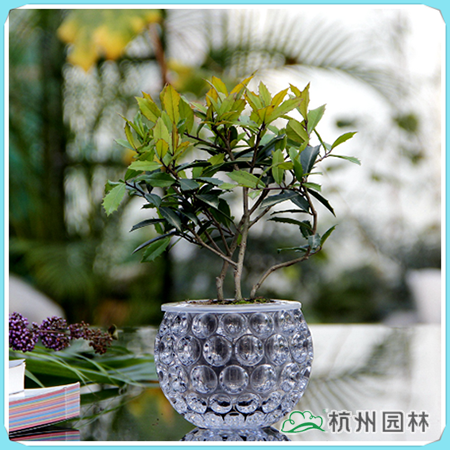 彩运网(中国游)官方网站