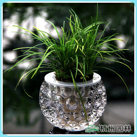 彩运网(中国游)官方网站