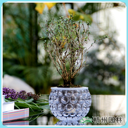 彩运网(中国游)官方网站