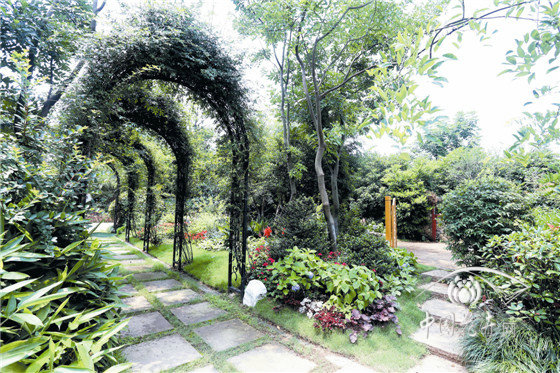 彩运网(中国游)官方网站