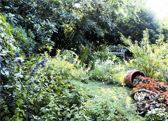 彩运网(中国游)官方网站