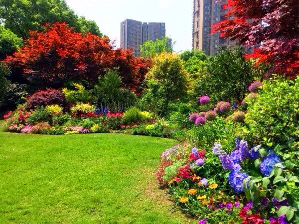 彩运网(中国游)官方网站