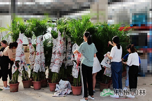 彩运网(中国游)官方网站