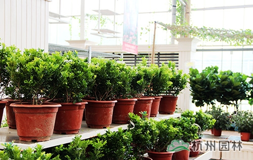 彩运网(中国游)官方网站