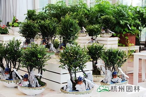 彩运网(中国游)官方网站