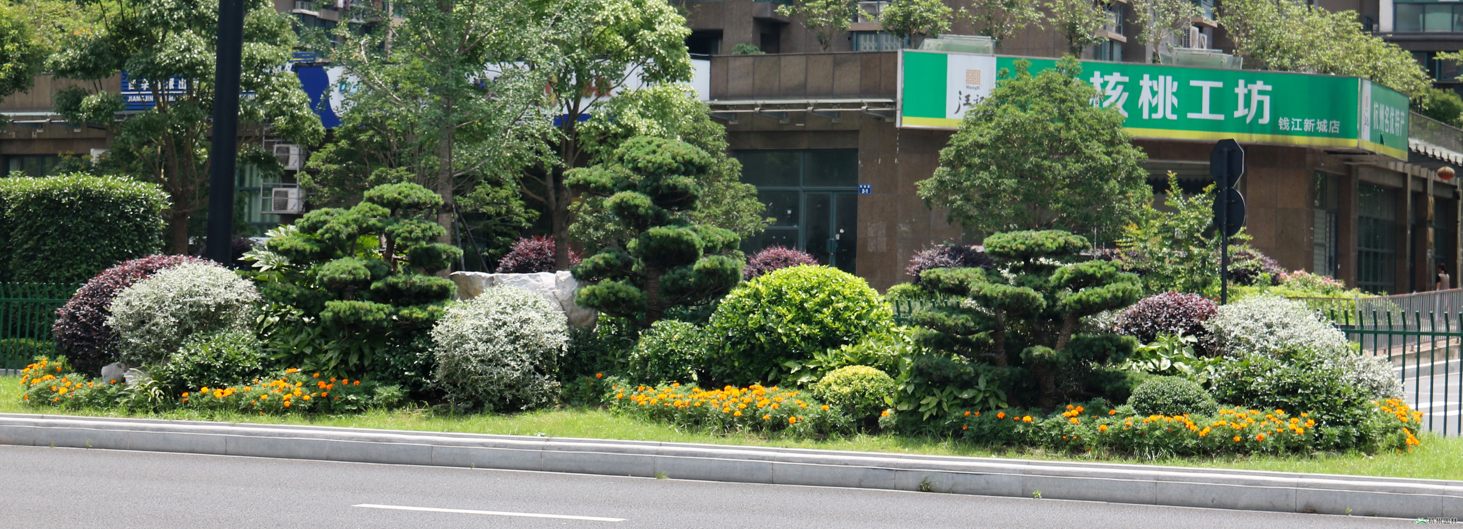 彩运网(中国游)官方网站