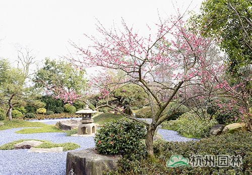 彩运网(中国游)官方网站