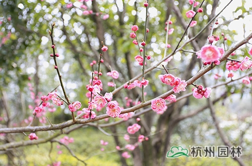 彩运网(中国游)官方网站