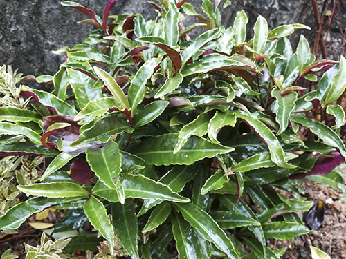 彩运网(中国游)官方网站