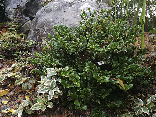 彩运网(中国游)官方网站