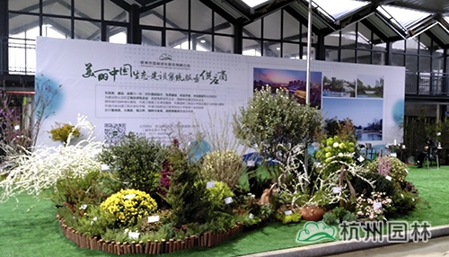 彩运网(中国游)官方网站