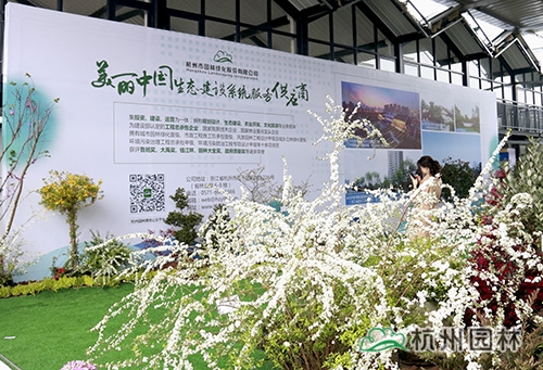 彩运网(中国游)官方网站