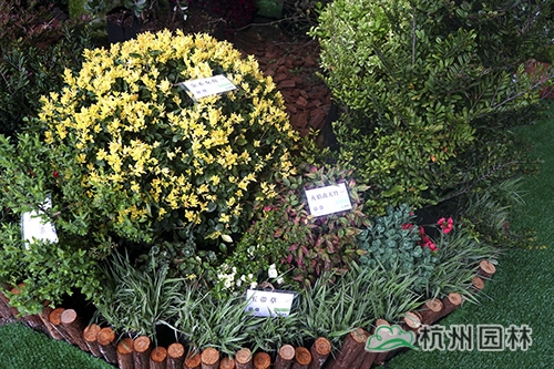 彩运网(中国游)官方网站