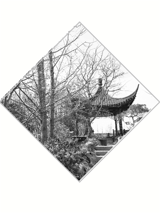 彩运网(中国游)官方网站