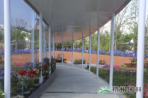 彩运网(中国游)官方网站