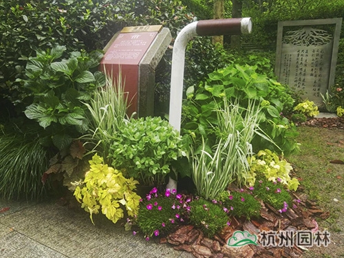 彩运网(中国游)官方网站